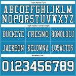 Custom Panther Blue White-Black Mesh Authentic Football Jersey