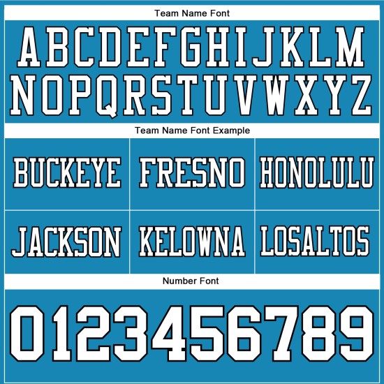 Custom Panther Blue White-Black Mesh Authentic Football Jersey